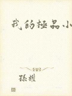 我的极品小姨