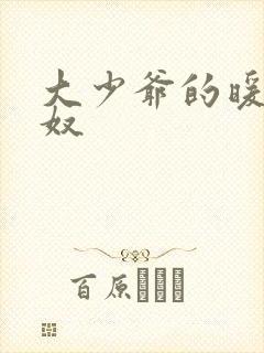 大少爷的暖床小奴