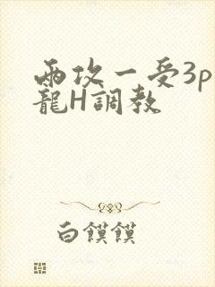 两攻一受3p双龙H调教