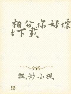 相公你好坏txt下载