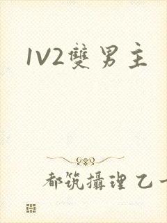 1V2双男主