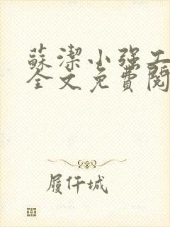 苏洁小强工地情全文免费阅读