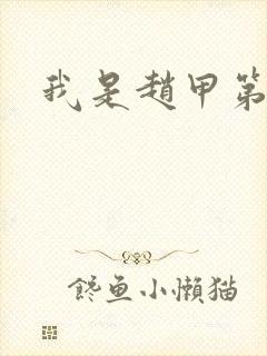 我是赵甲第小说