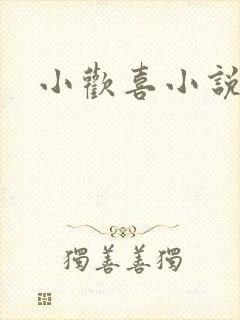 小欢喜小说