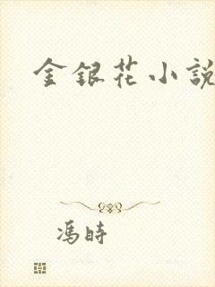 金银花小说乐可