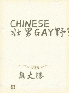 CHINESE壮男GAY野战强迫TUBE