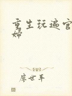 重生玩遍官场贵妇