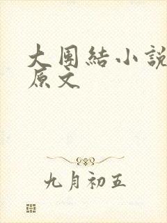 大团结小说阅读原文