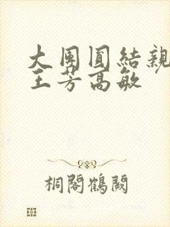 大团圆结亲情会王芳高敏