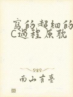 写的超细的多肉C过程原耽