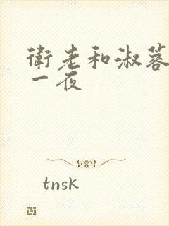 卫老和淑蓉销魂一夜