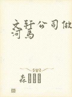 文轩公司做扩张河马