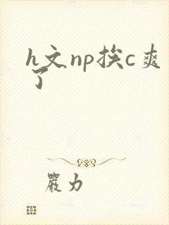 h文np挨c爽了