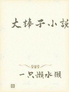 大棒子小说