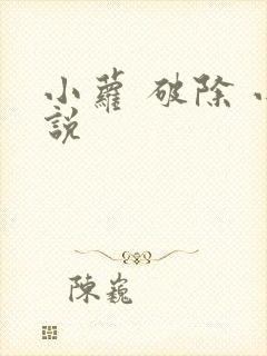 小萝 破除 小说