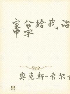 家公给我治疗5中字