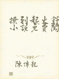 撩到起火舒漾的小说免费阅读全文