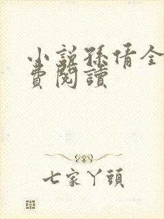 小说孙倩全文免费阅读