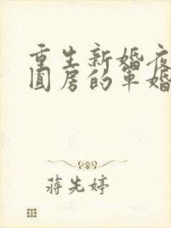 重生新婚夜正在圆房的军婚