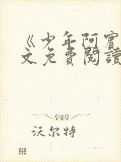 《少年阿宾》全文免费阅读