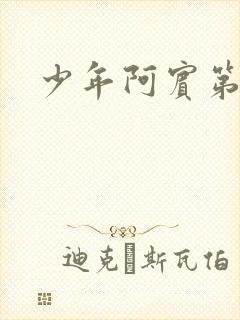 少年阿宾第二部