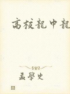 高校龙中龙