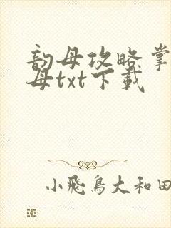 韵母攻略掌中美母txt下载