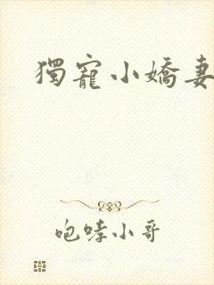 独宠小娇妻