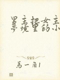 男主把女主拖进梦境里的小说