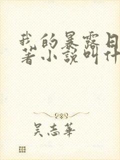 我的暴露日记原著小说叫什么