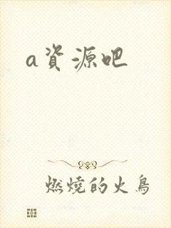 a资源吧