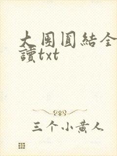 大团圆结全文阅读txt