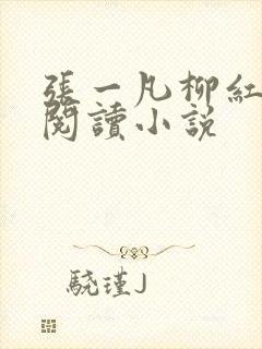 张一凡柳红免费阅读小说