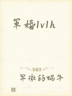 军婚1v1h