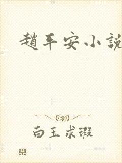 赵平安小说主角