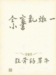 全家乱炖一锅烩小书