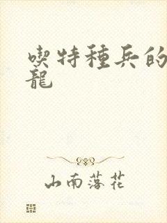 吃特种兵的大黑龙