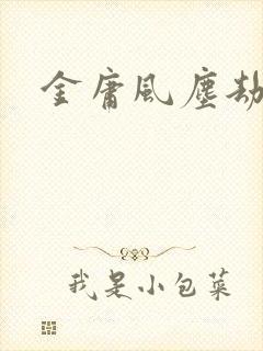 金庸风尘劫