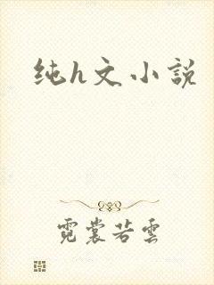 纯h文小说