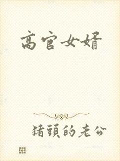 高官女婿