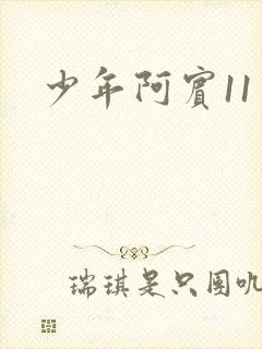 少年阿宾11