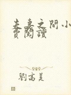 夫妻之间小说免费阅读