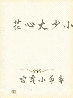 花心大少小说