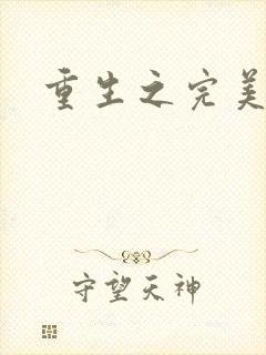 重生之完美一生