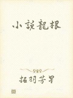 小说龙根