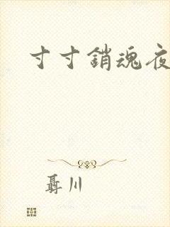 寸寸销魂夜春光