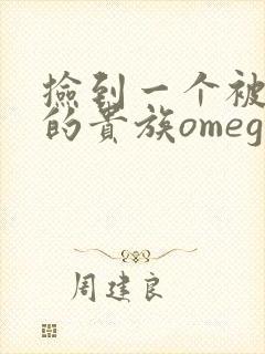 捡到一个被抹布的贵族omega