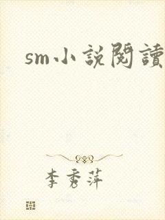 sm小说阅读