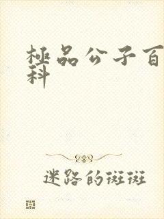 极品公子百度百科