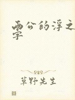 两公的浮之手中字